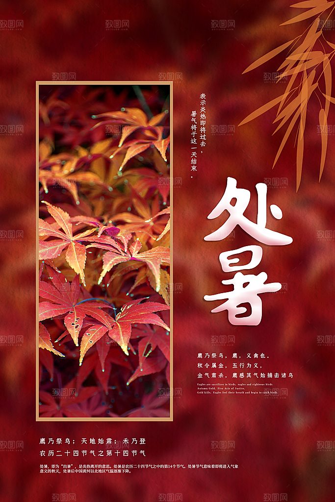 简约大气处暑节气宣传海报