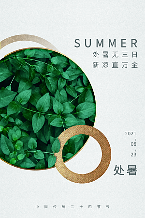 简约大气处暑节气宣传海报