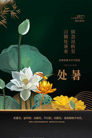 简约大气处暑节气宣传海报