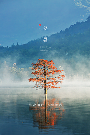 简约大气处暑节气宣传海报