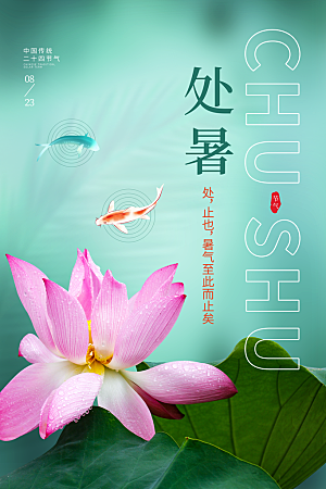传统节气处暑宣传海报