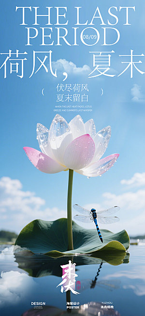 末伏荷花海报设计