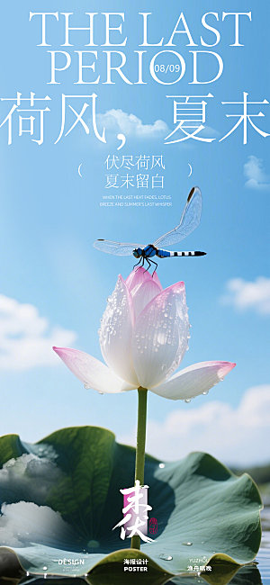 末伏荷花海报设计