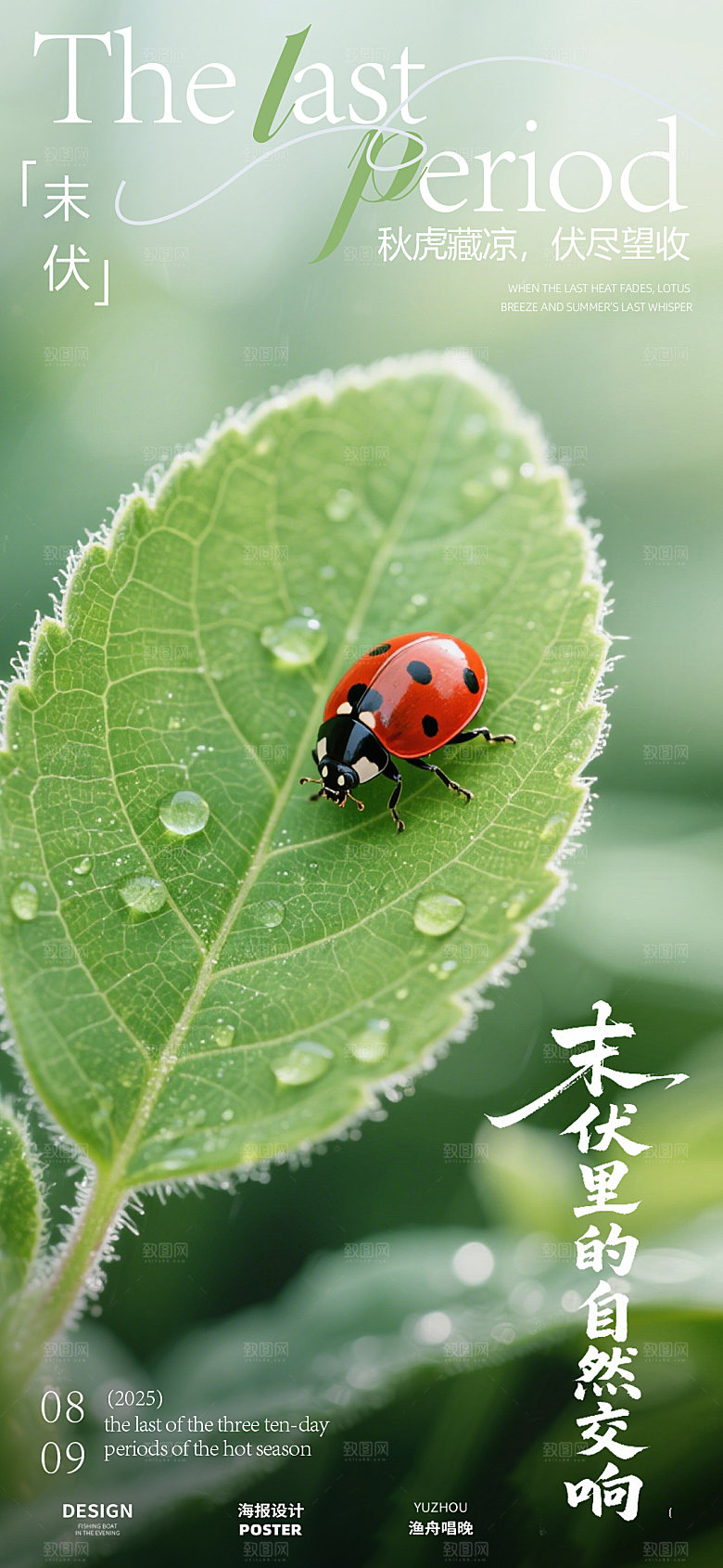 末伏夏季海报设计