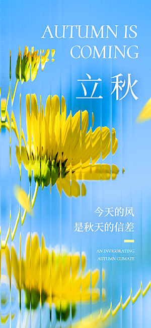 简约大气立秋节气宣传海报