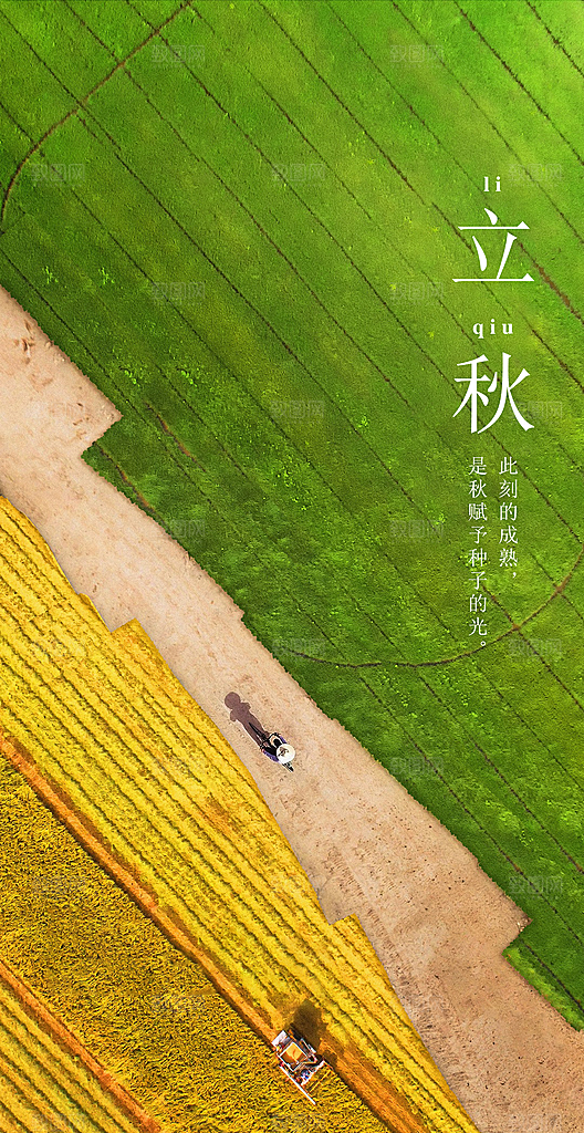 简约大气立秋节气宣传海报