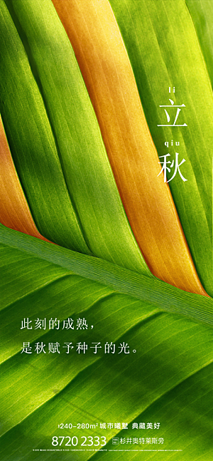 简约大气立秋节气宣传海报