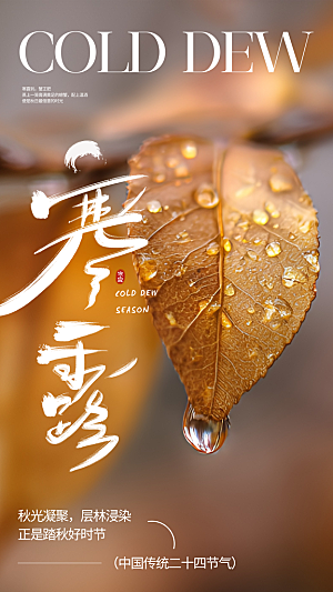 寒露二十四节气海报
