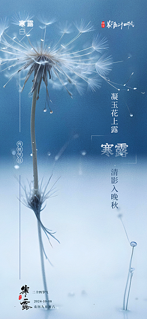 寒露二十四节气海报