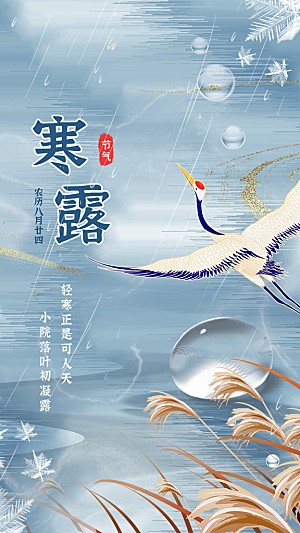 寒露二十四节气海报