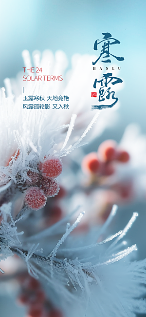 二十四节气寒露海报