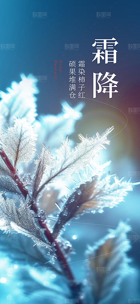 二十四节气霜降海报