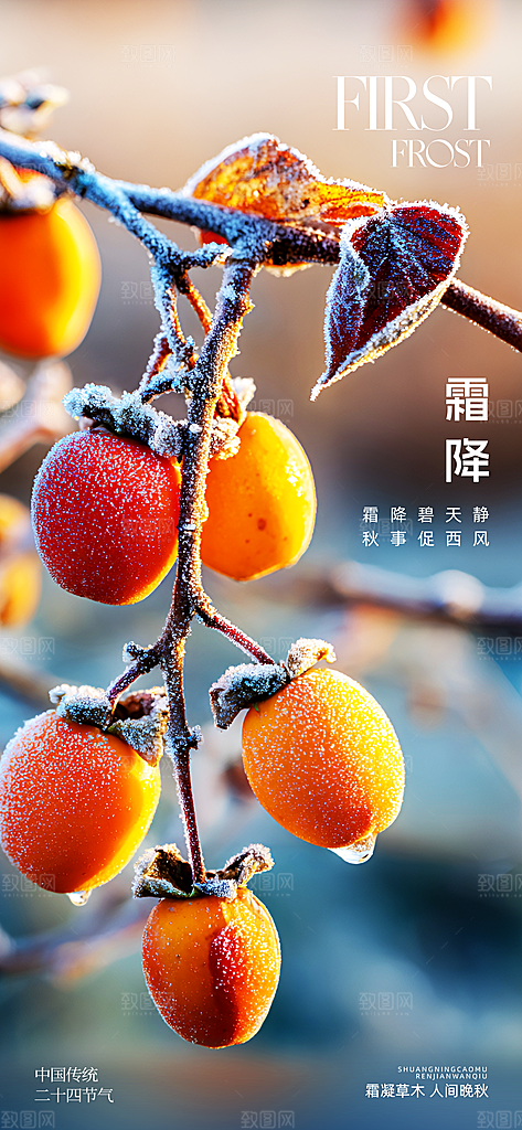 霜降二十四节气海报