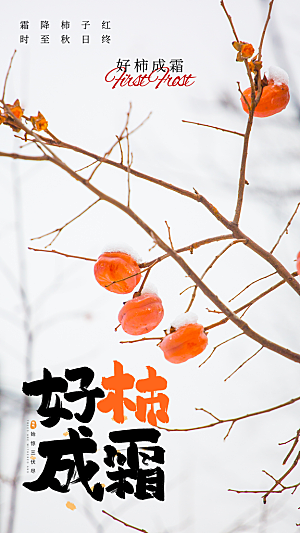 简约大气霜降节气海报模板