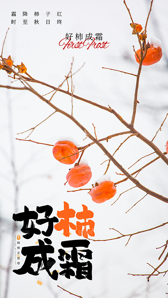简约大气霜降节气海报模板