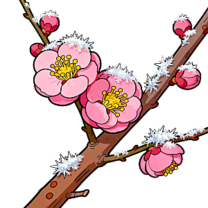 霜降元素寒梅覆霜