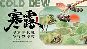 24节气寒露时节秋天秋季展板海报