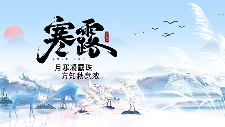 24节气寒露时节秋天秋季展板海报