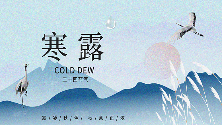 24节气寒露时节秋天秋季展板海报