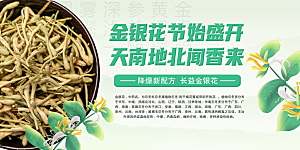 金银花海报展板设计素材