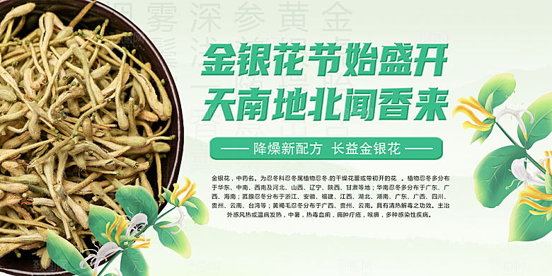 金银花海报展板设计素材