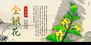 金银花海报展板设计素材