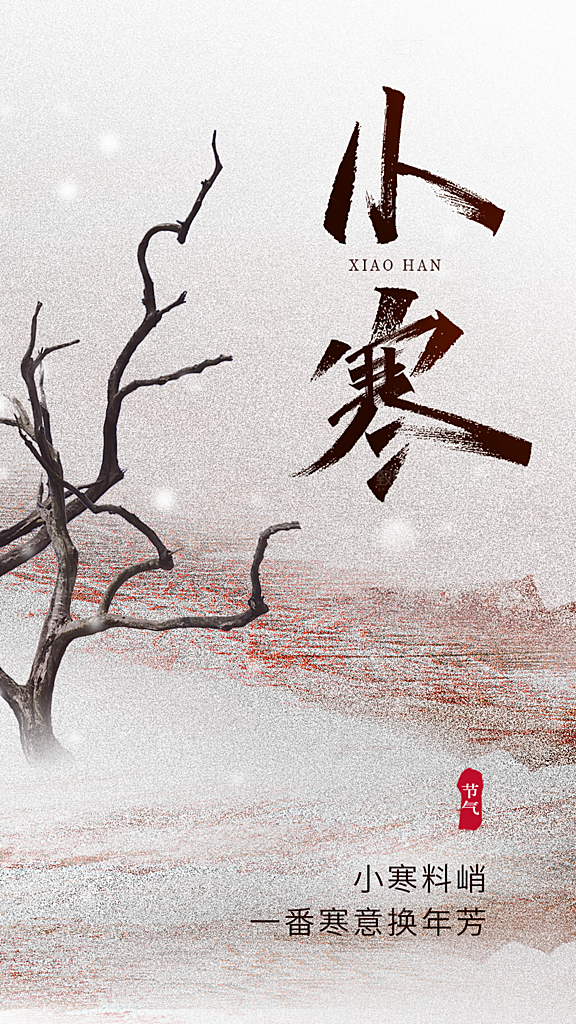 传统节气小寒海报宣传模板