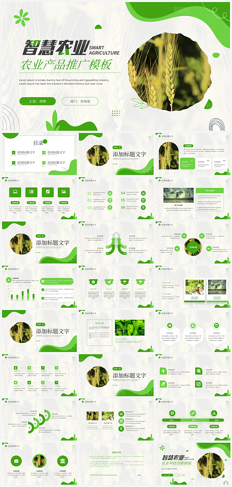 农业产品介绍营销宣传绿色食品推广PPT