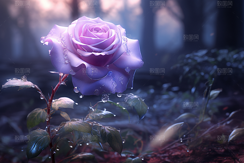 CG玫瑰情人节浪漫素材