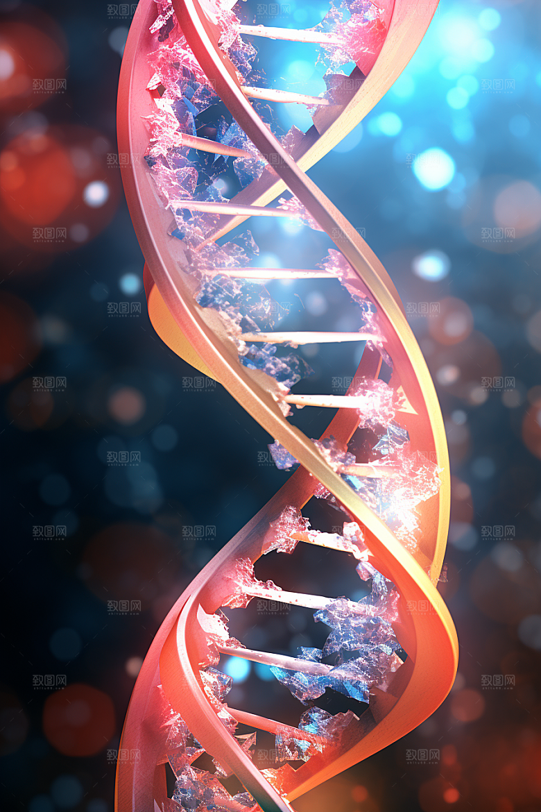 DNA螺旋结构科学模型效果图