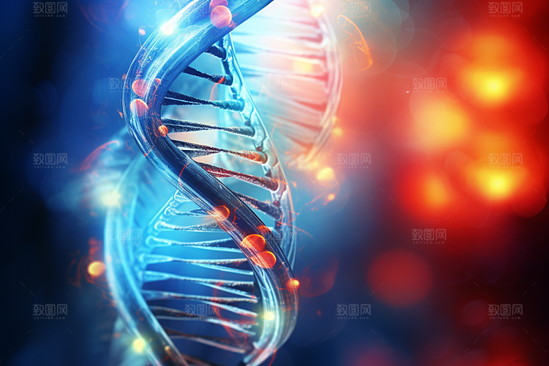 DNA螺旋结构科学模型效果图