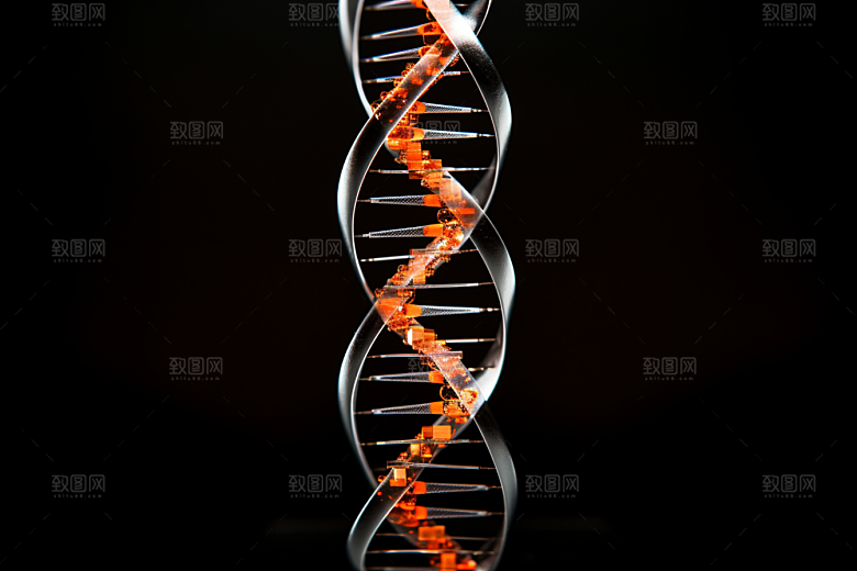 DNA螺旋结构科学模型效果图