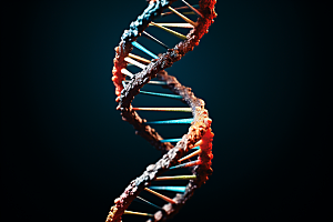 DNA螺旋结构高清生物效果图