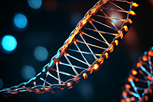 DNA螺旋结构生物模型效果图