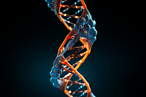DNA螺旋结构生物模型效果图