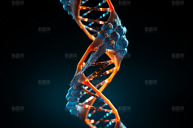 DNA螺旋结构生物模型效果图