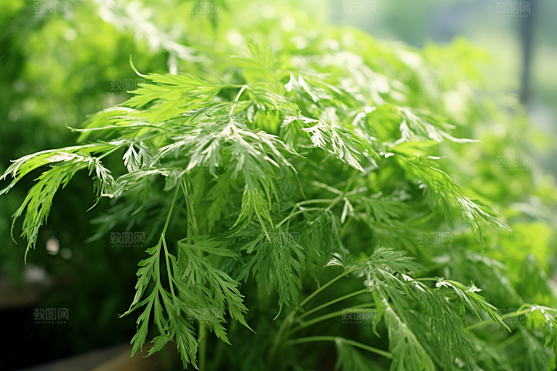 艾草艾叶青团摄影图