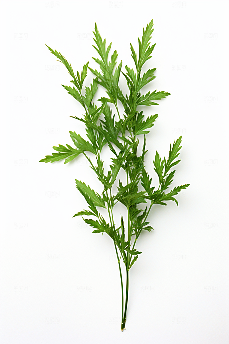 艾草传统文化美食摄影图