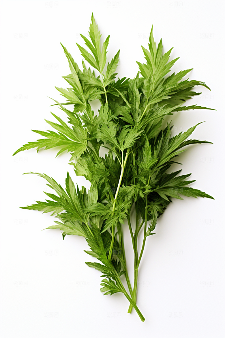 艾草蒿草糯米团摄影图
