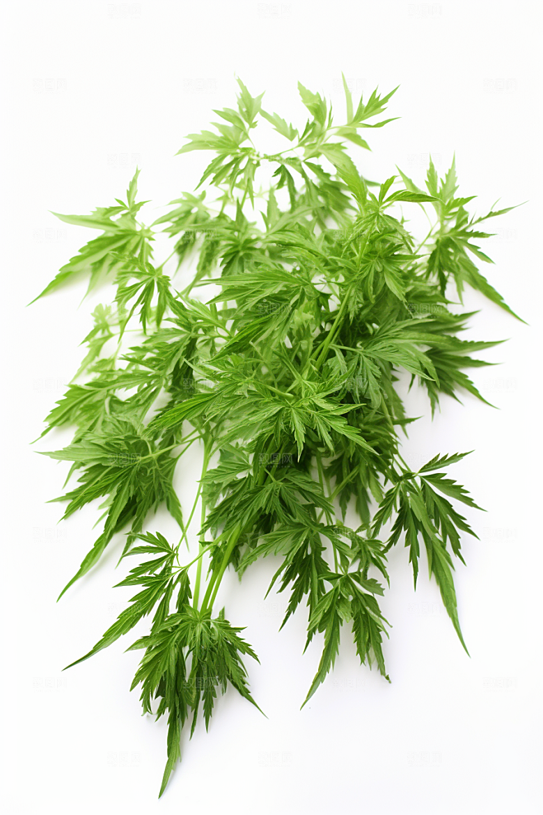 艾草糯叽叽青团摄影图