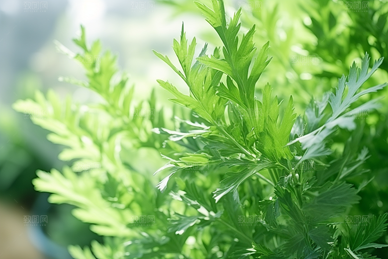 艾草青团艾叶摄影图