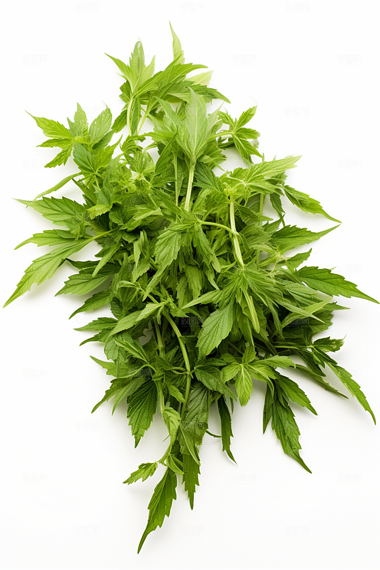 艾草青团蒿草摄影图