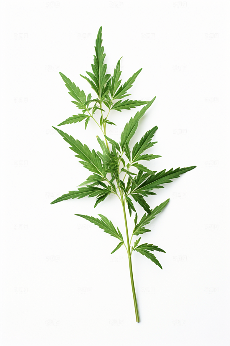 艾草糯叽叽糯米团摄影图