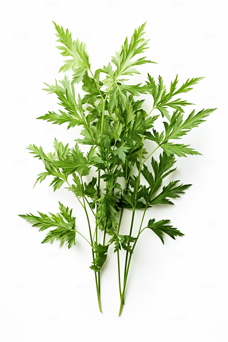 艾草美食糯叽叽摄影图