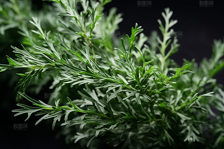 艾草青团清明摄影图