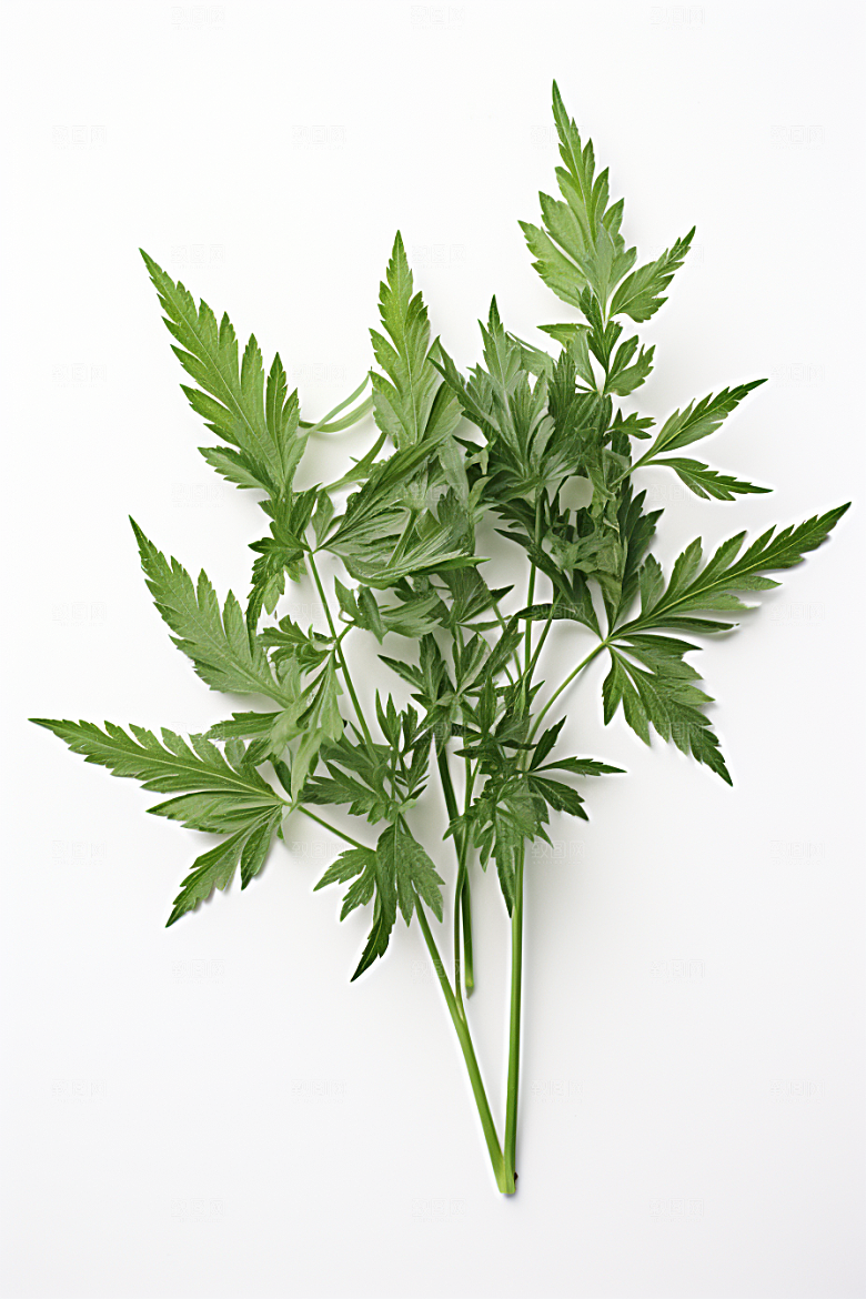 艾草高清中式糕点摄影图