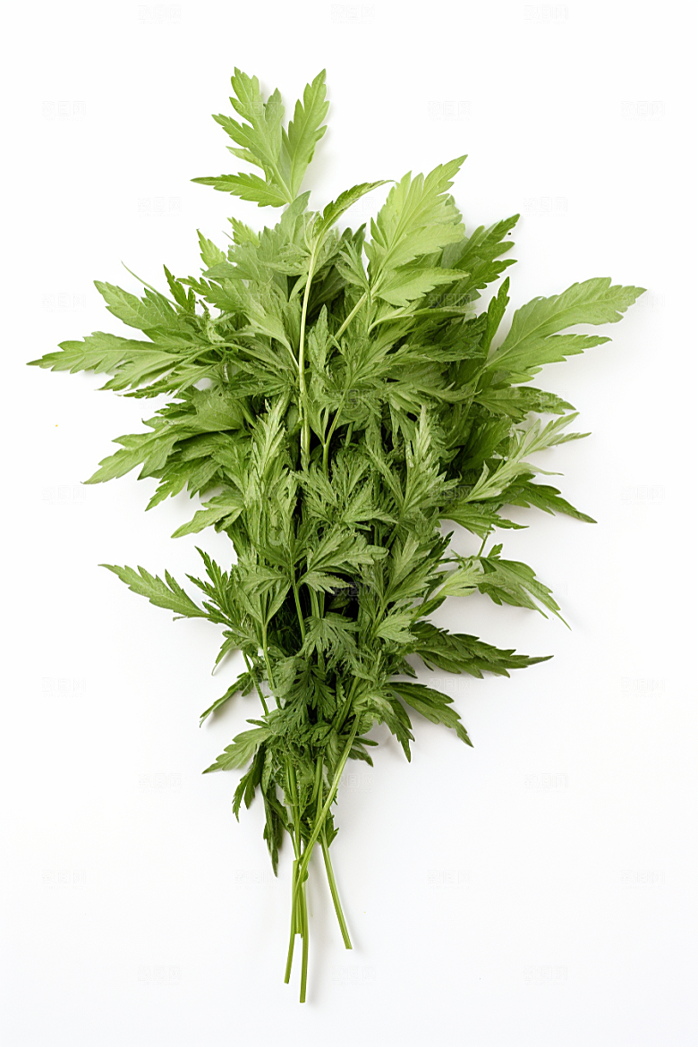 艾草艾叶美食摄影图