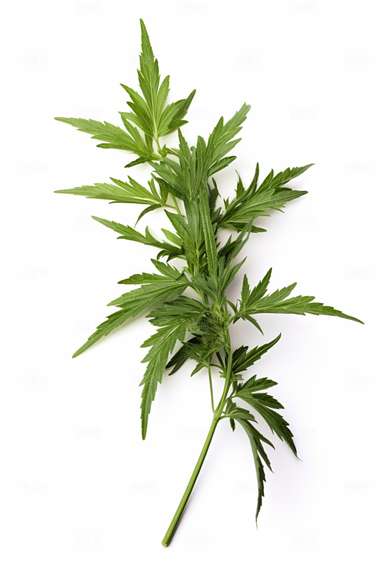 艾草中式糕点糯叽叽摄影图
