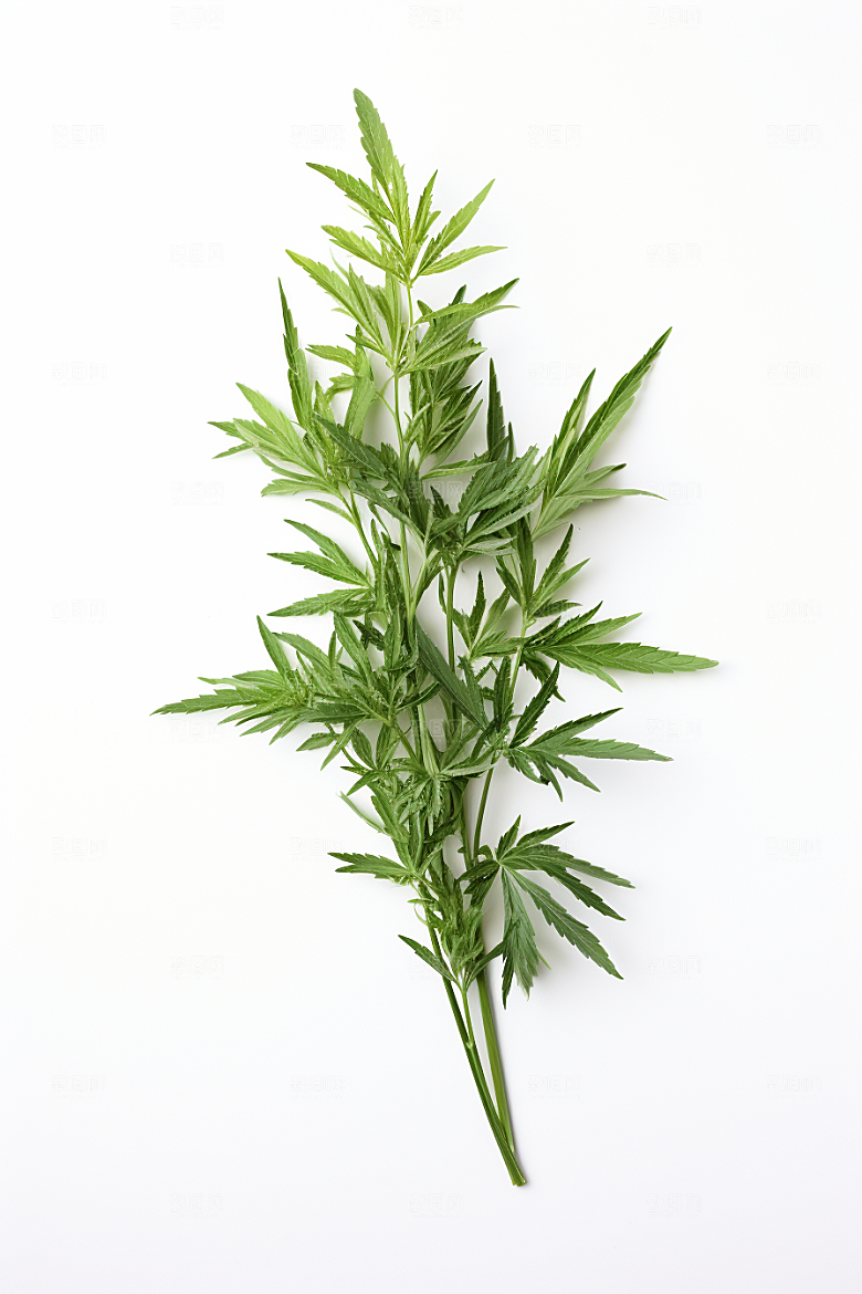 艾草美食青团摄影图
