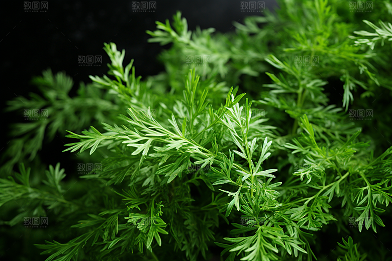 艾草美食青团摄影图